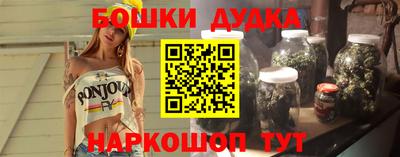 стаф Новодвинск